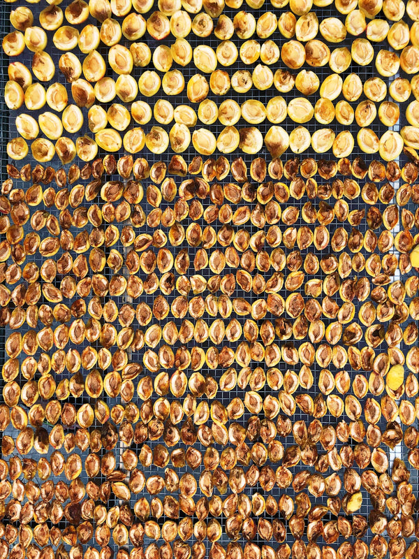 Variatie in Waxinelichten voor Elke Sfeer