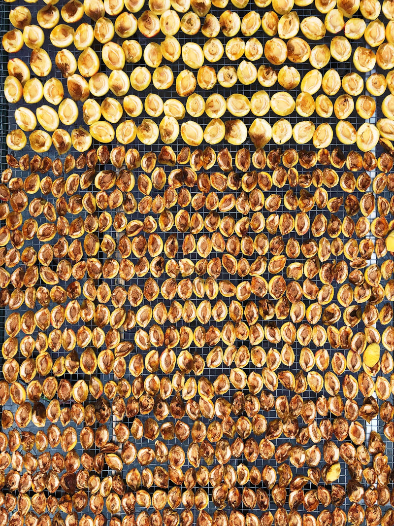 Variatie in Waxinelichten voor Elke Sfeer