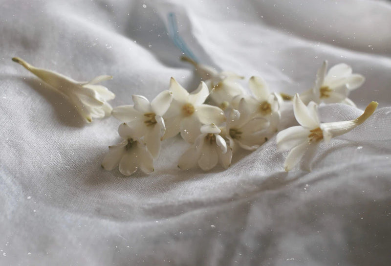 Witte Waxinelichten voor Een Duurzame Sfeer in Huis