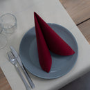 Tafelloper Creme, Airlaid 40cmx24m, doos a 4 rol - Lanza Tafelaankleding